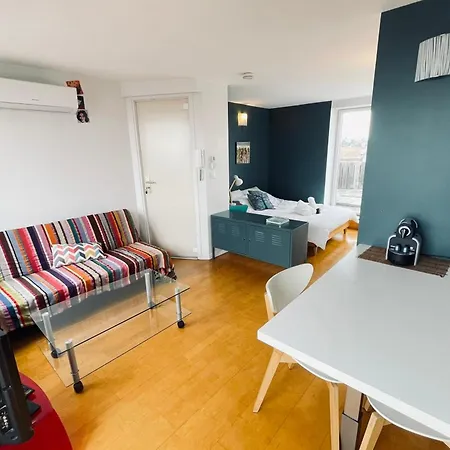 Panoramic Downtown Rooftop Apartment Toulouse